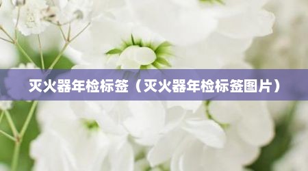 灭火器年检标签（灭火器年检标签图片）