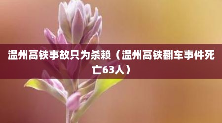 温州高铁事故只为杀赖（温州高铁翻车事件死亡63人）