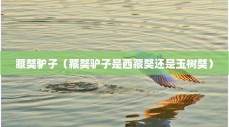 藏獒驴子（藏獒驴子是西藏獒还是玉树獒）