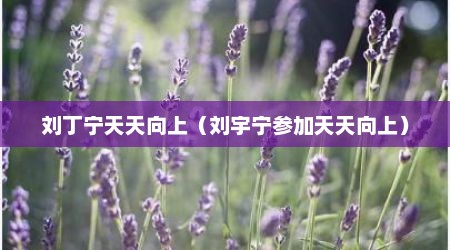 刘丁宁天天向上（刘宇宁参加天天向上）
