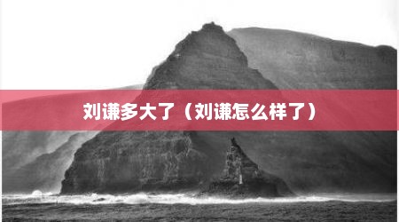 刘谦多大了（刘谦怎么样了）