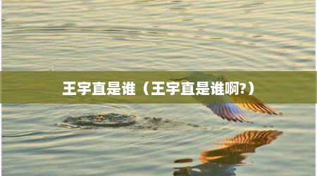 王宇直是谁（王宇直是谁啊?）