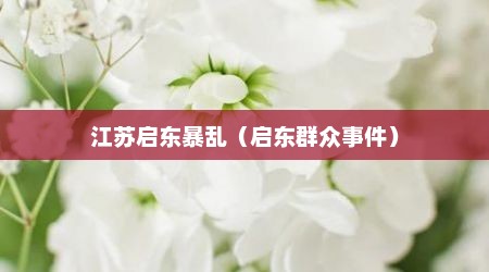 江苏启东暴乱（启东群众事件）
