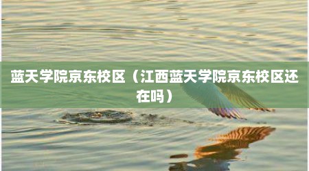 蓝天学院京东校区（江西蓝天学院京东校区还在吗）