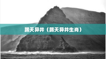 踢天异井（踢天异井生肖）