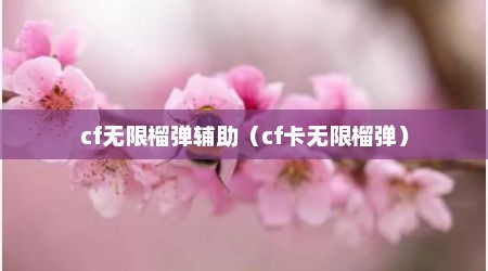 cf无限榴弹辅助（cf卡无限榴弹）