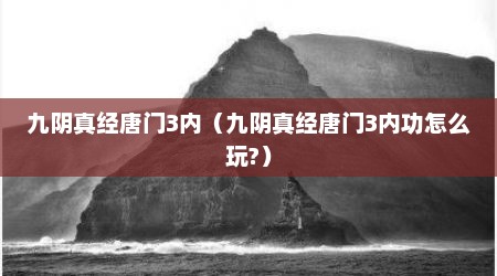 九阴真经唐门3内（九阴真经唐门3内功怎么玩?）