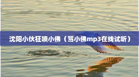 沈阳小伙狂喷小佛（骂小佛mp3在线试听）