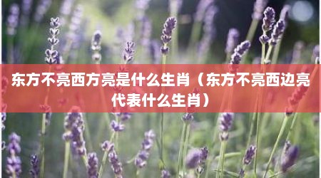 东方不亮西方亮是什么生肖（东方不亮西边亮代表什么生肖）