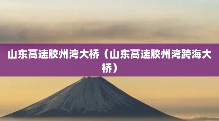 山东高速胶州湾大桥（山东高速胶州湾跨海大桥）