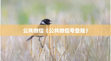 公共微信（公共微信号登陆）