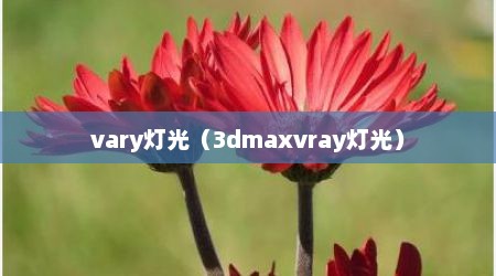 vary灯光（3dmaxvray灯光）