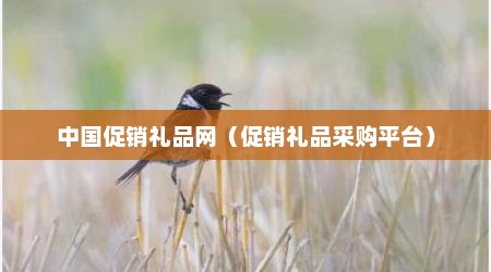 中国促销礼品网（促销礼品采购平台）