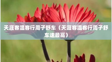天涯客温客行周子舒车（天涯客温客行周子舒车速最高）