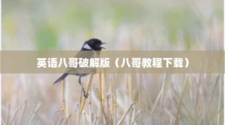 英语八哥破解版（八哥教程下载）