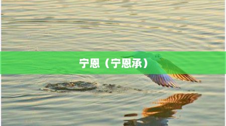 宁恩（宁恩承）