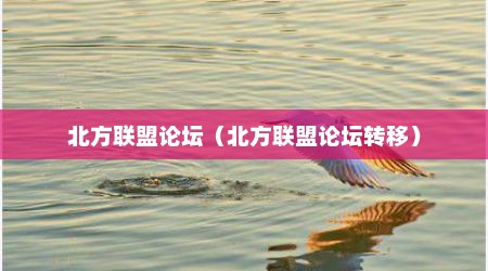 北方联盟论坛（北方联盟论坛转移）