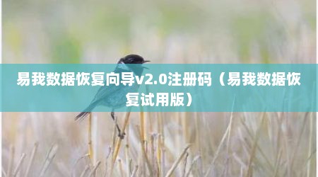 易我数据恢复向导v2.0注册码（易我数据恢复试用版）