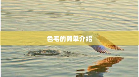 色毛的简单介绍