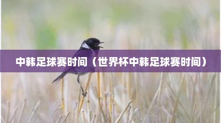 中韩足球赛时间（世界杯中韩足球赛时间）