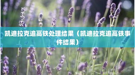 凯迪拉克追高铁处理结果（凯迪拉克追高铁事件结果）