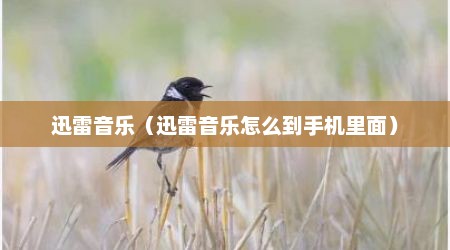 迅雷音乐（迅雷音乐怎么到手机里面）