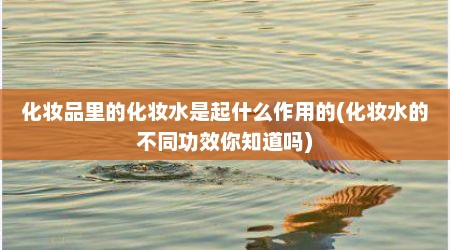 化妆品里的化妆水是起什么作用的(化妆水的不同功效你知道吗)