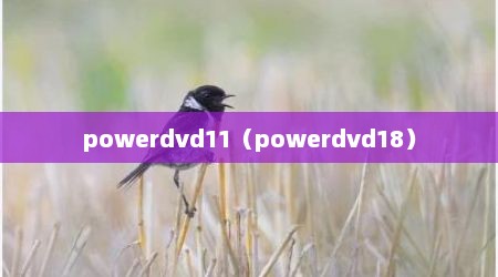 powerdvd11（powerdvd18）