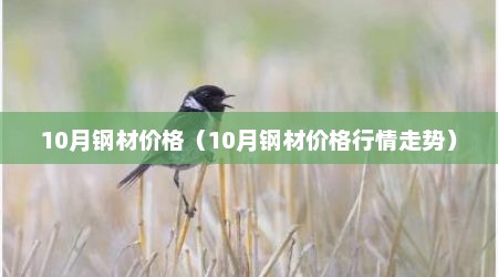 10月钢材价格（10月钢材价格行情走势）