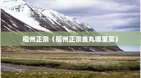 福州正宗（福州正宗鱼丸哪里买）