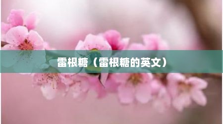 雷根糖（雷根糖的英文）