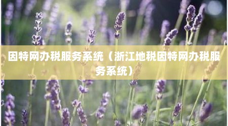 因特网办税服务系统（浙江地税因特网办税服务系统）