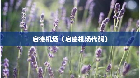 启德机场（启德机场代码）