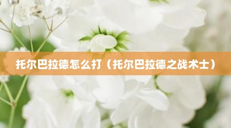 托尔巴拉德怎么打（托尔巴拉德之战术士）
