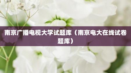 南京广播电视大学试题库（南京电大在线试卷题库）