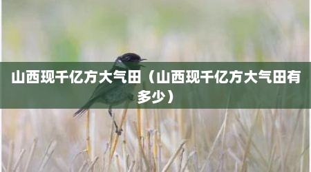山西现千亿方大气田（山西现千亿方大气田有多少）