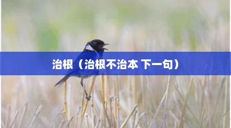 治根（治根不治本 下一句）