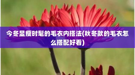 今冬显瘦时髦的毛衣内搭法(秋冬款的毛衣怎么搭配好看)