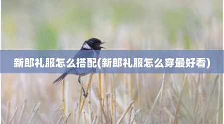 新郎礼服怎么搭配(新郎礼服怎么穿最好看)