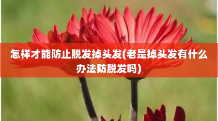 怎样才能防止脱发掉头发(老是掉头发有什么办法防脱发吗)