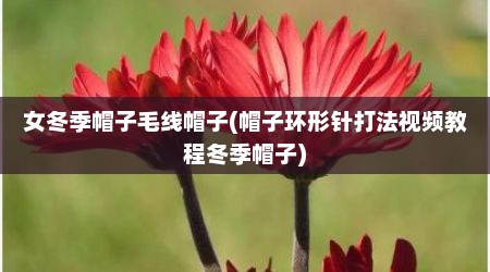 女冬季帽子毛线帽子(帽子环形针打法视频教程冬季帽子)