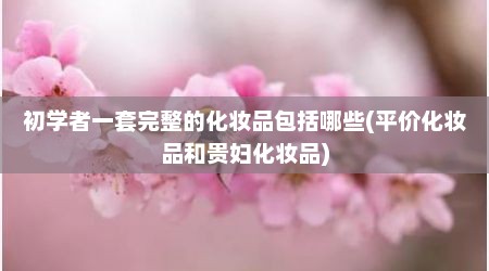 初学者一套完整的化妆品包括哪些(平价化妆品和贵妇化妆品)