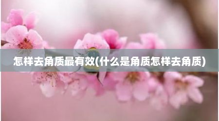 怎样去角质最有效(什么是角质怎样去角质)