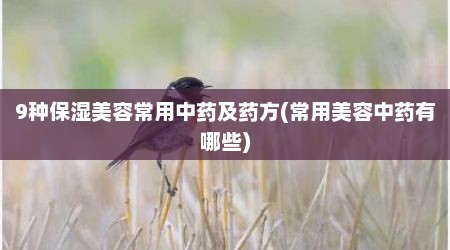 9种保湿美容常用中药及药方(常用美容中药有哪些)