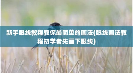新手眼线教程教你最简单的画法(眼线画法教程初学者先画下眼线)