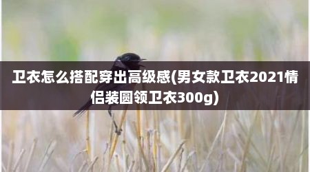 卫衣怎么搭配穿出高级感(男女款卫衣2021情侣装圆领卫衣300g)