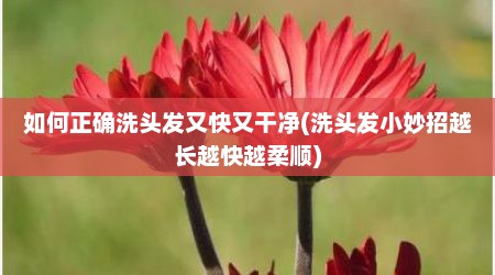 如何正确洗头发又快又干净(洗头发小妙招越长越快越柔顺)