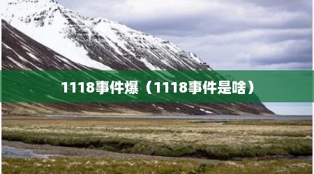1118事件爆（1118事件是啥）