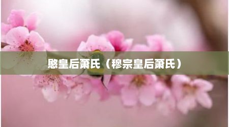 愍皇后萧氏（穆宗皇后萧氏）