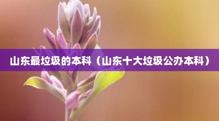 山东最垃圾的本科（山东十大垃圾公办本科）